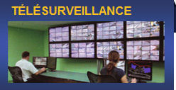 telesurveillance entreprise particulier